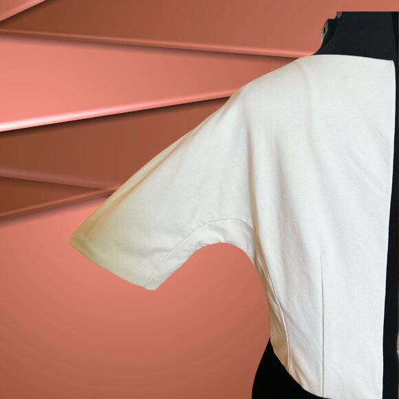 ✨ Chic & Flattering Ann Taylor V-Neck Color-block Dress ✨ - Picture 6 of 8